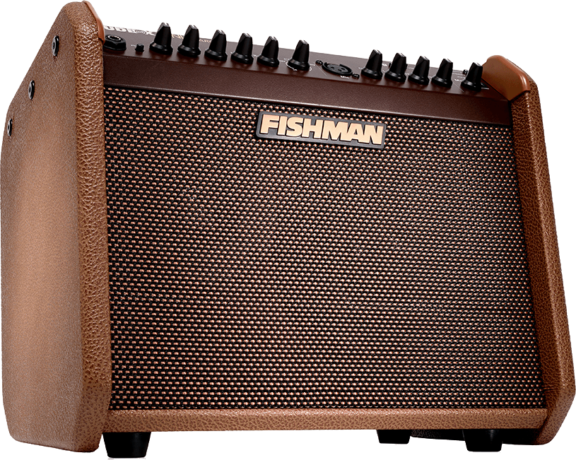 Fishman  PRO-LBC-500 Loudbox Mini Charge