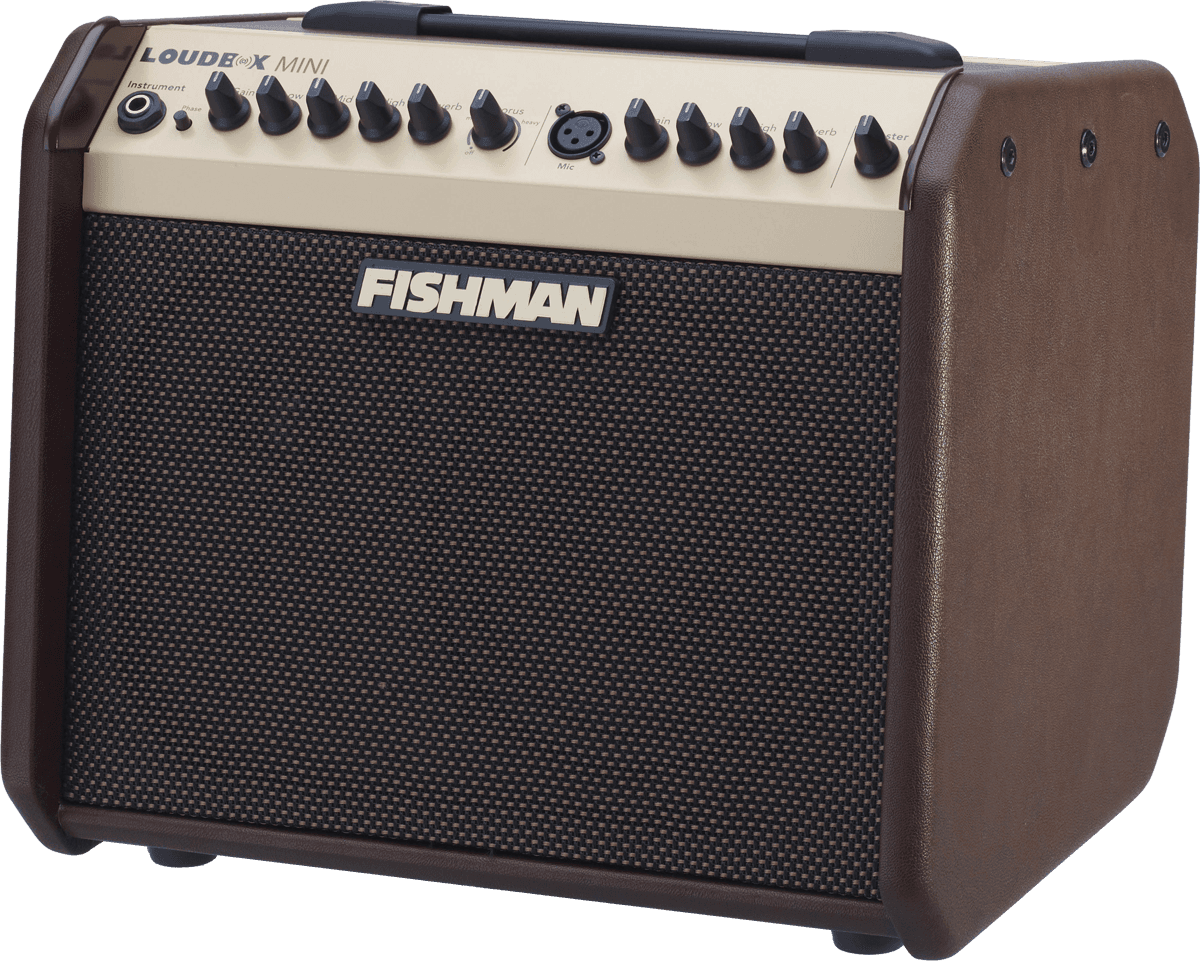 Fishman PRO-LBC-500 Loudbox Mini Charge
