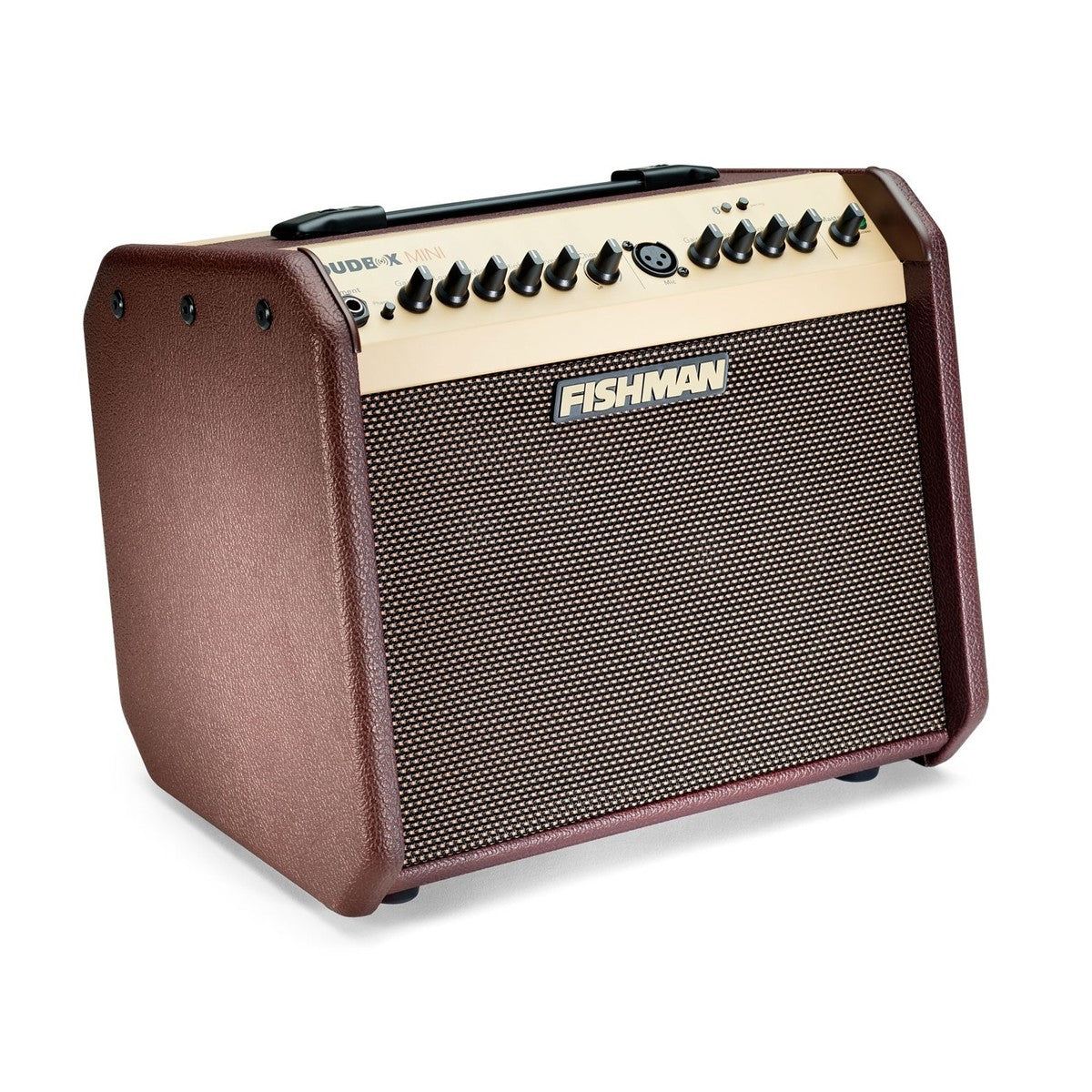 Fishman Loudbox Mini Bluetooth 60 watts
