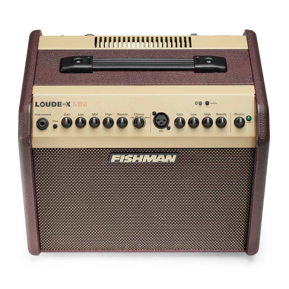 Fishman Loudbox Mini Bluetooth 60 watts