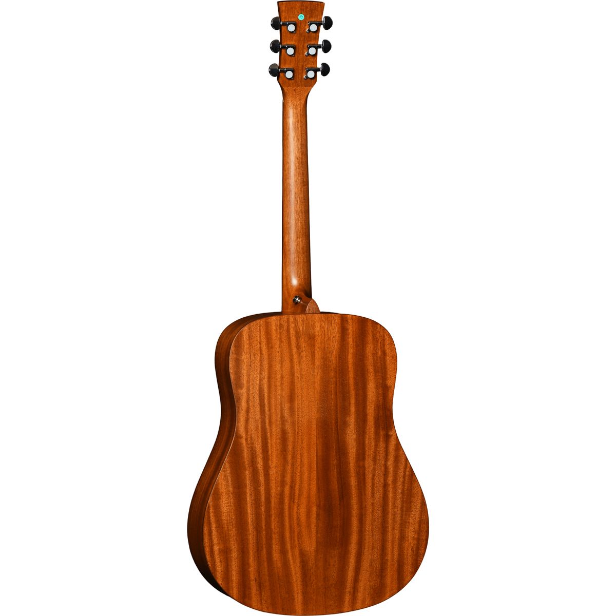Santana Player D10 Natural Western Guitar
