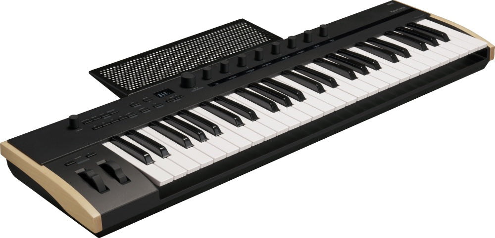 Korg Keystage-49 Synthesizer Keyboard
