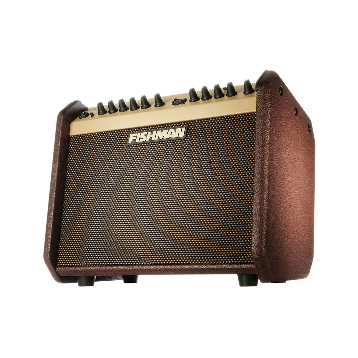 Fishman Loudbox Mini Bluetooth 60 watts