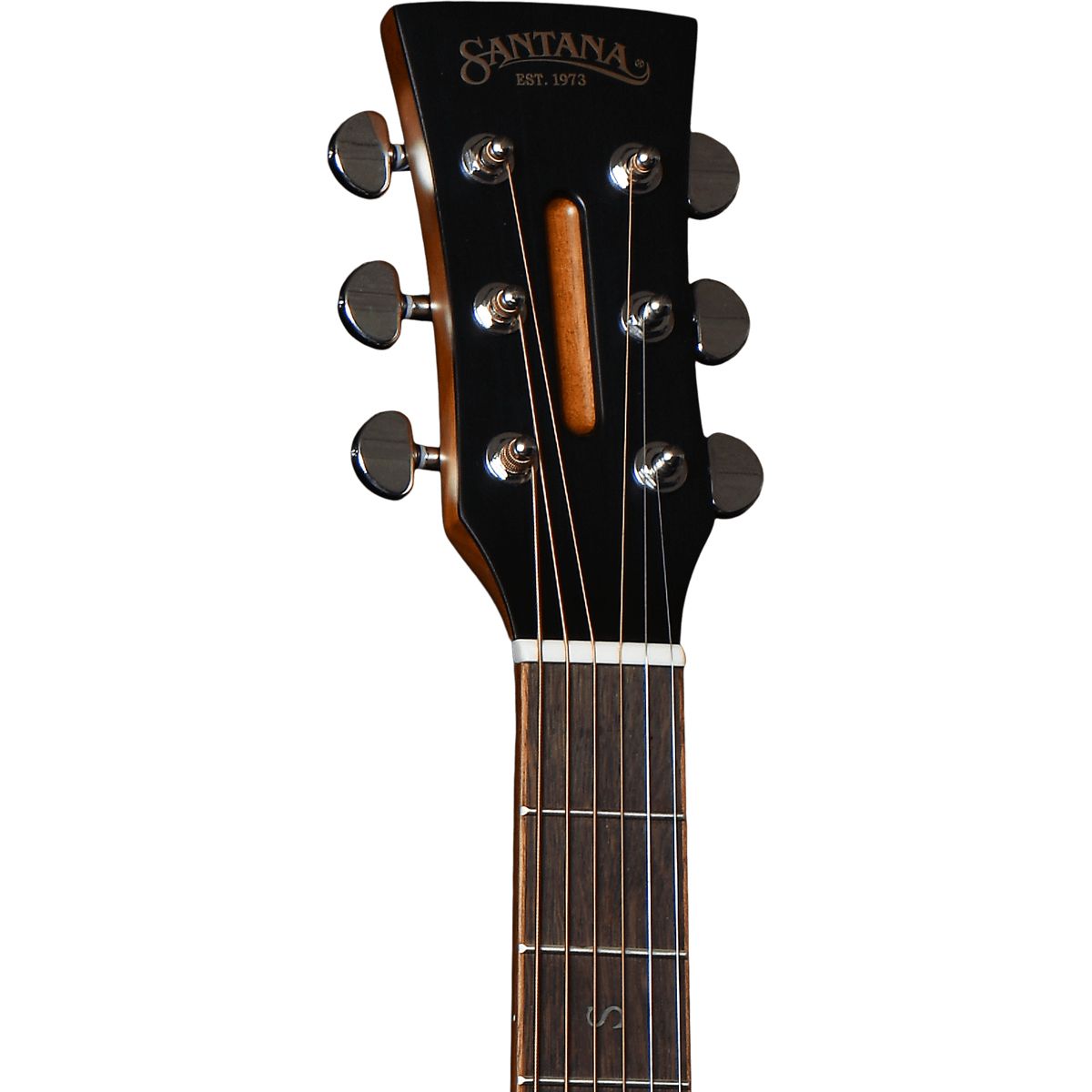 Santana Player D10 Natural Western Guitar