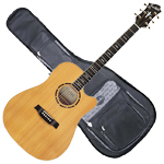 Guitartasker westernguitarer